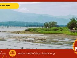 Air Danau Kerinci Menyusut Drastis, Fenomena apa ?